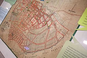 Grünes Riesa