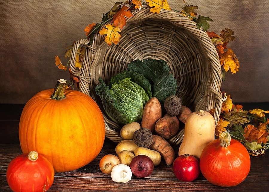 Kindermuseumsklub: Entdeckungen im Herbst